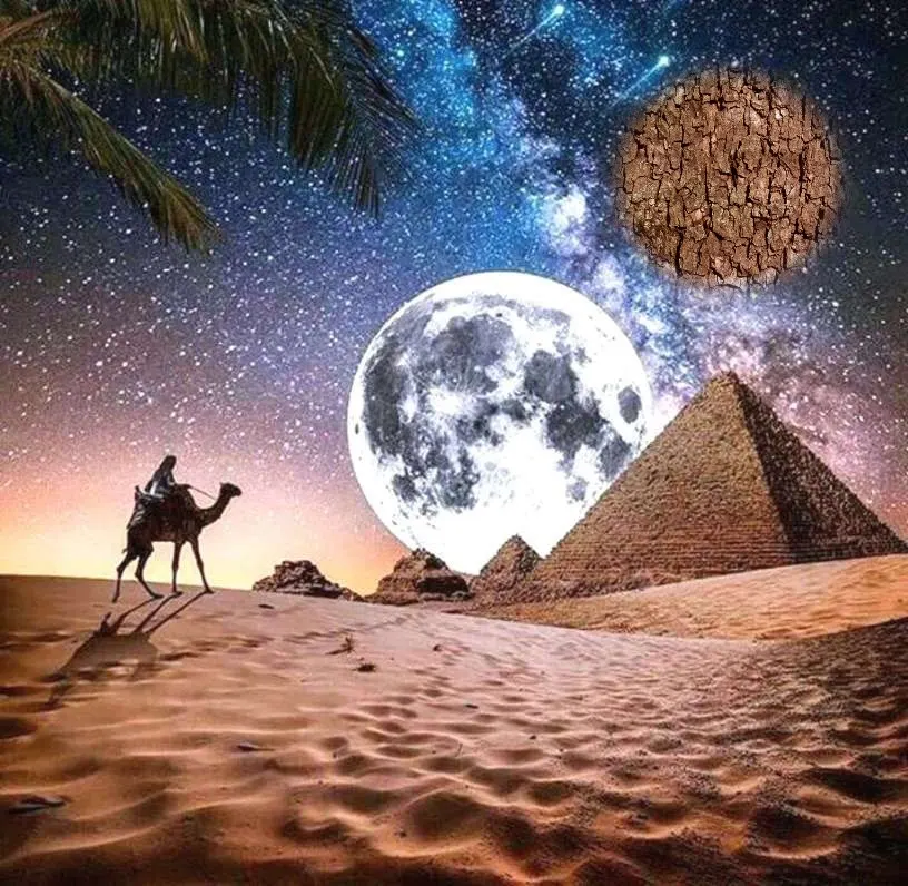 Top standard Whatsapp DP